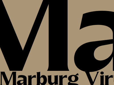 Marburg Virus A Deadly Disease With A Travel Ban